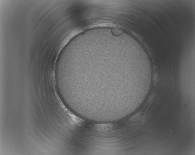 X0000076101282200610202126