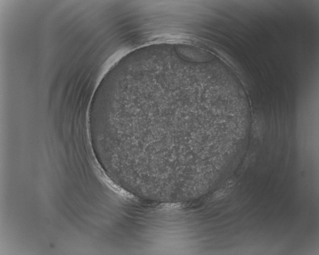 X0000076101283200610202126