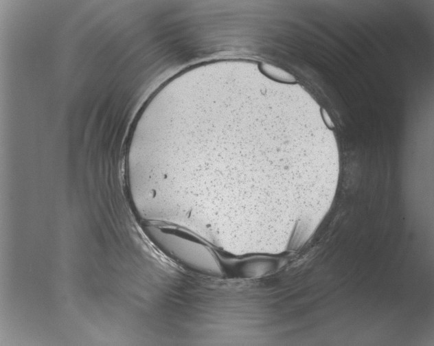 X0000076101284200610202126