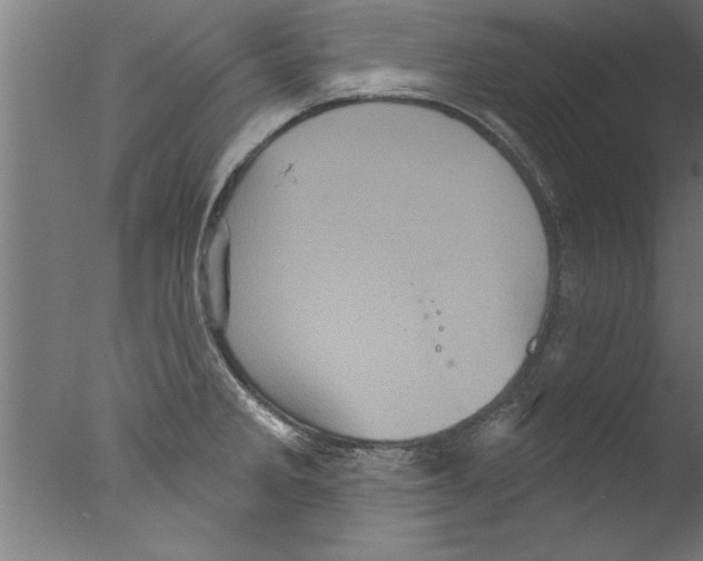 X0000076101285200610202126