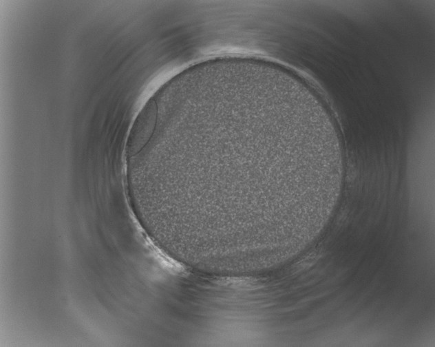 X0000076101287200610202126