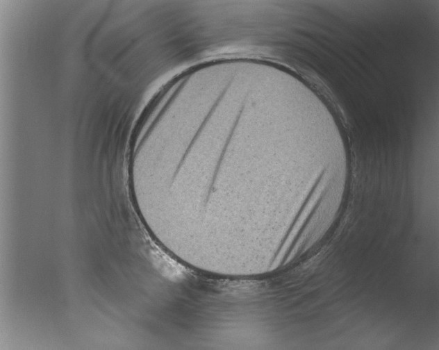 X0000076101288200610202126