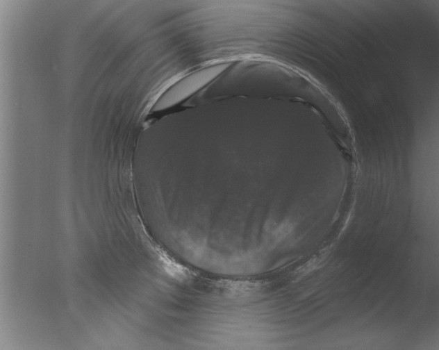 X0000076101289200610202126