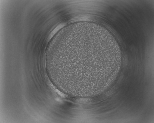 X0000076101290200610202126