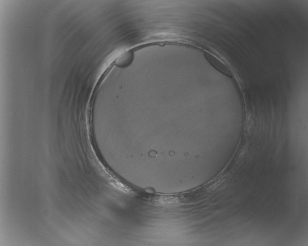 X0000076101291200610202126