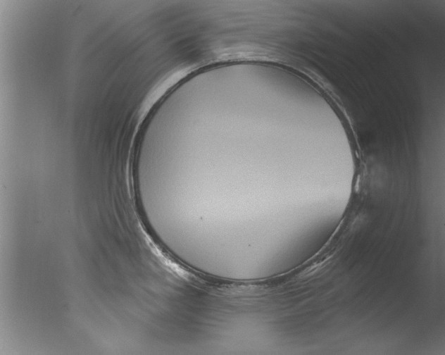 X0000076101293200610202126