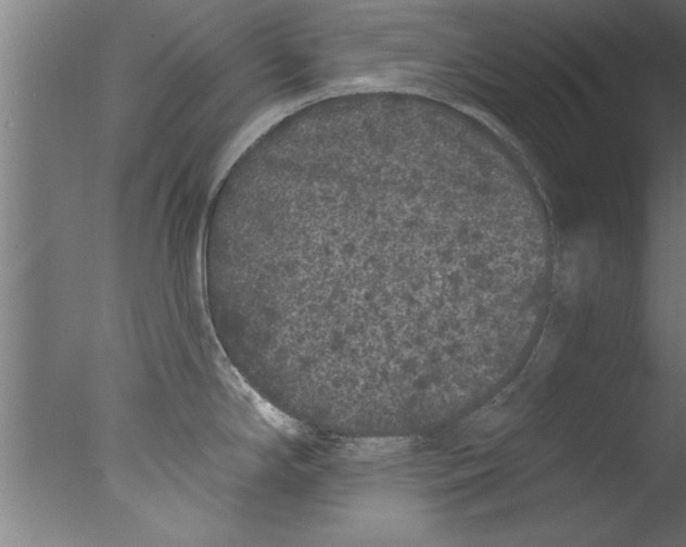 X0000076101294200610202126