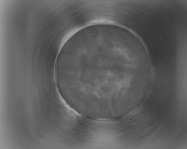 X0000076101295200610202126