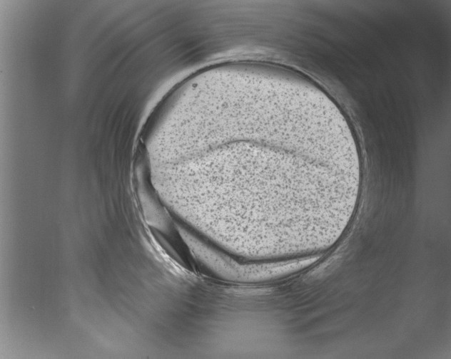 X0000076101296200610202126