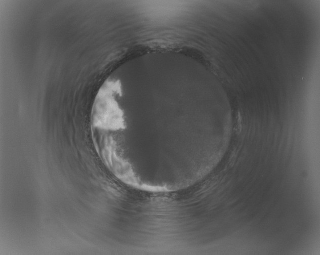 X0000076101297200610202125