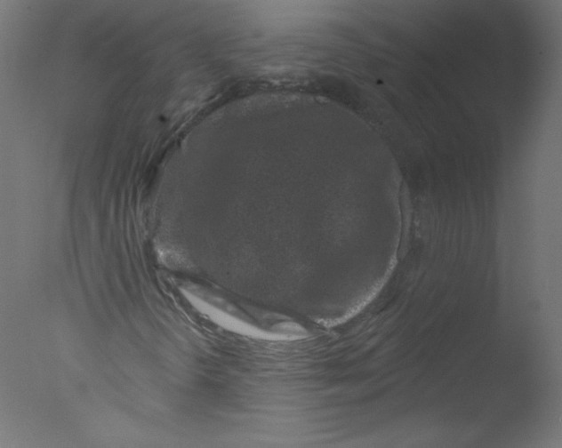 X0000076101298200610202125