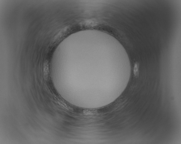 X0000076101299200610202125