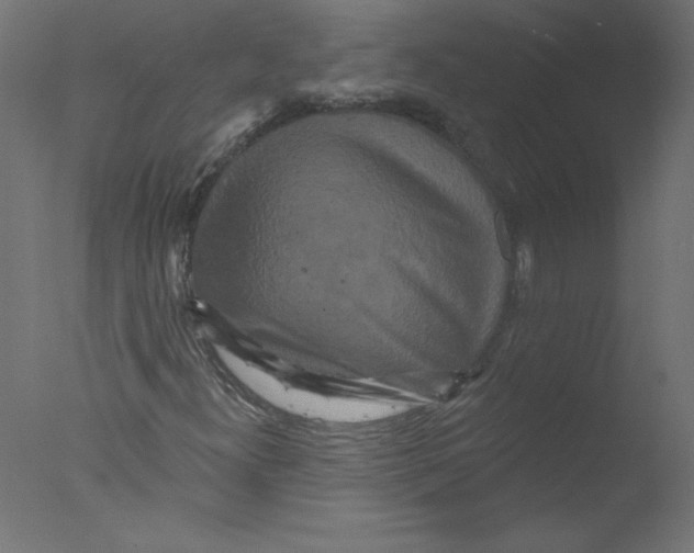 X0000076101300200610202125