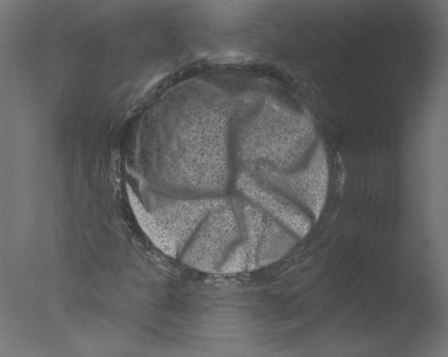 X0000076101301200610202125