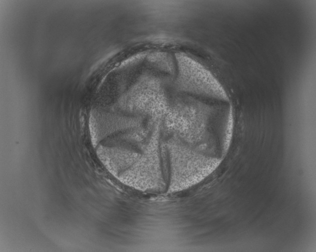 X0000076101302200610202125