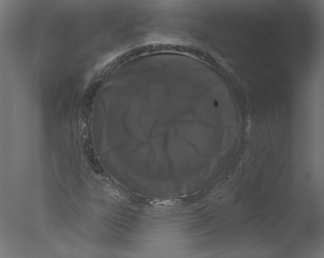 X0000076101303200610202125