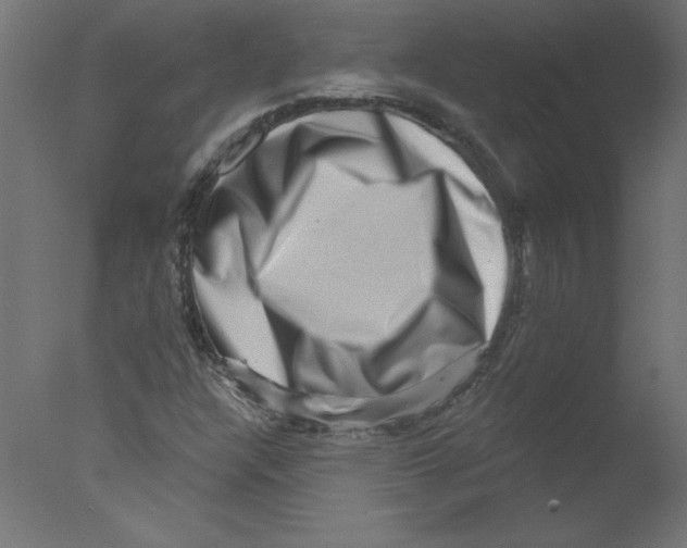 X0000076101304200610202125