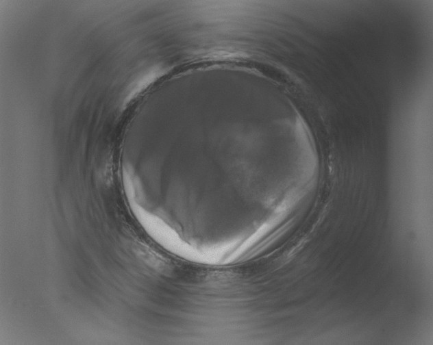 X0000076101306200610202125