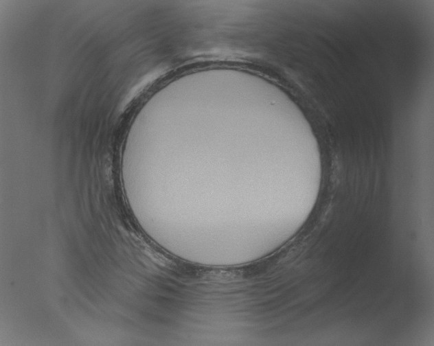 X0000076101307200610202125