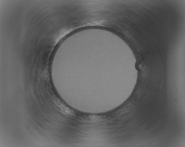 X0000076101308200610202125