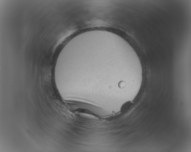 X0000076101309200610202125