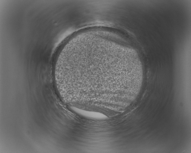 X0000076101310200610202125