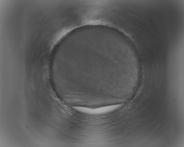 X0000076101311200610202125