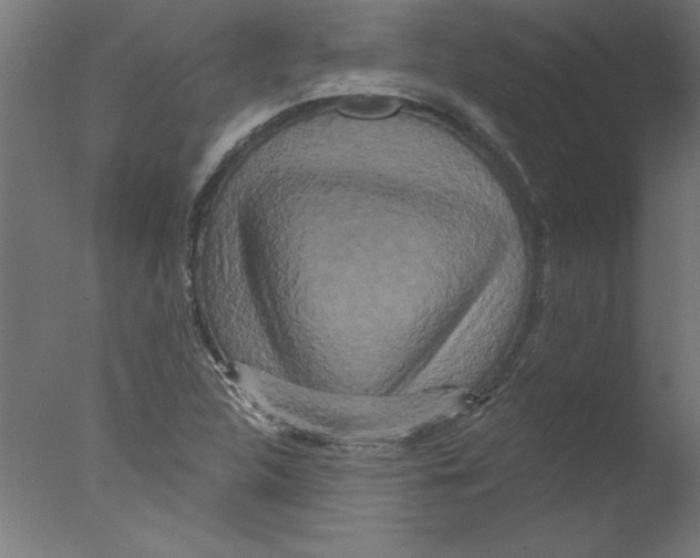 X0000076101312200610202125