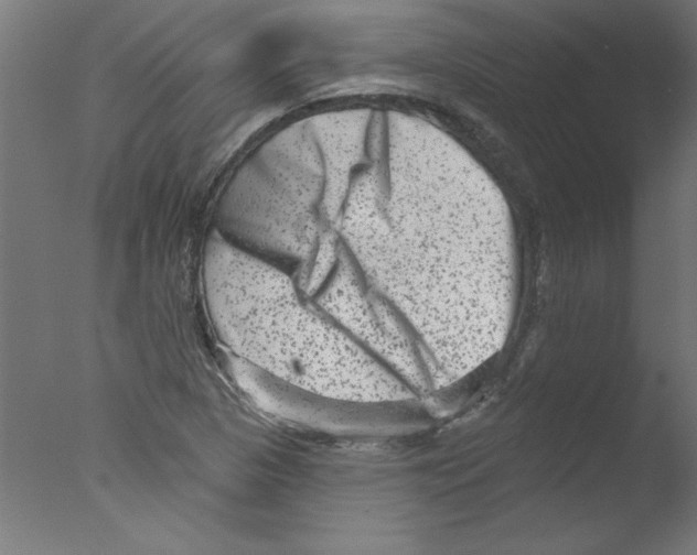 X0000076101313200610202125