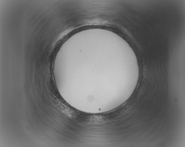 X0000076101315200610202125