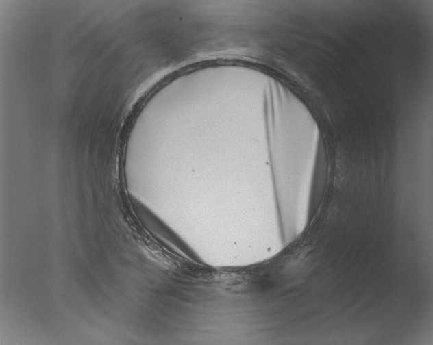 X0000076101316200610202125