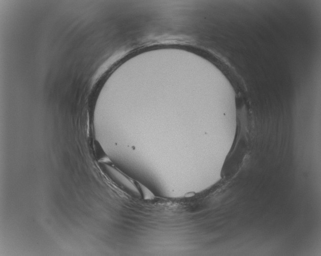 X0000076101317200610202125