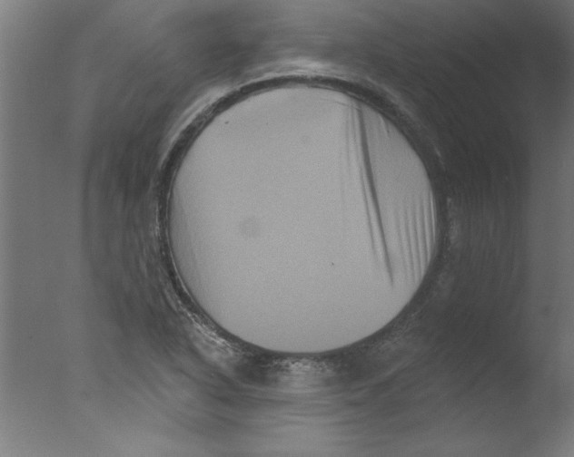 X0000076101318200610202125