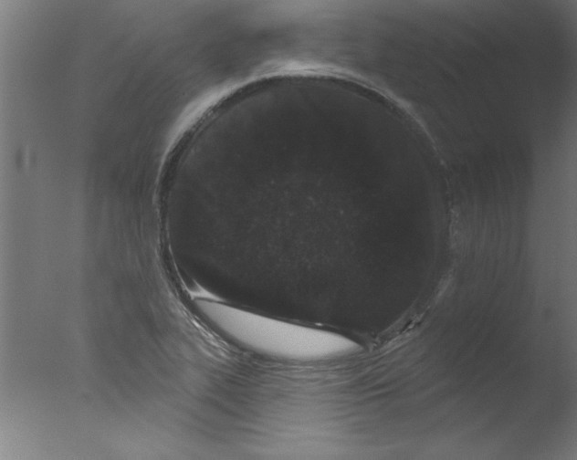 X0000076101319200610202125