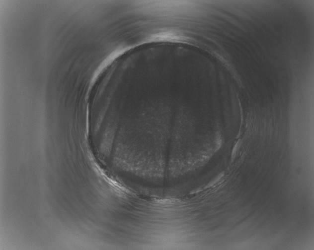 X0000076101323200610202125