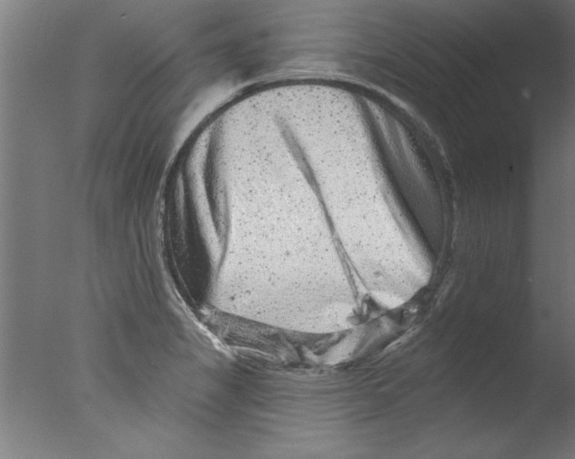 X0000076101325200610202125