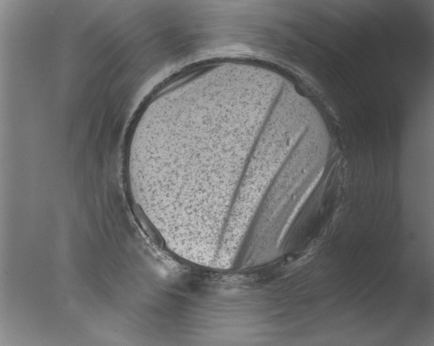 X0000076101326200610202125