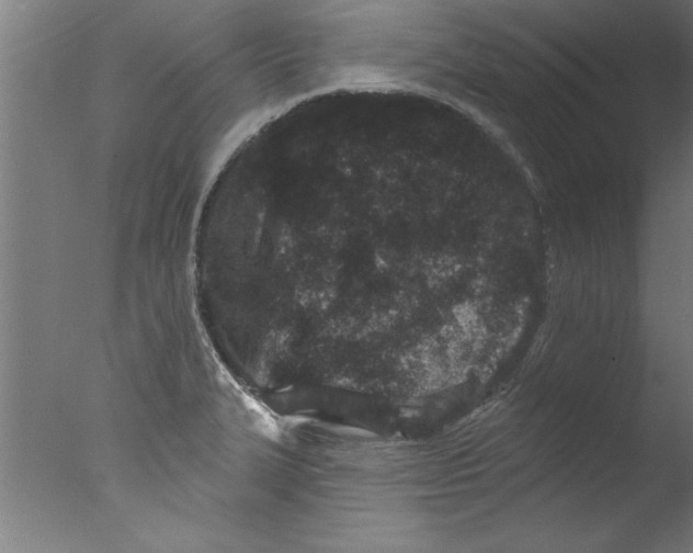 X0000076101327200610202125