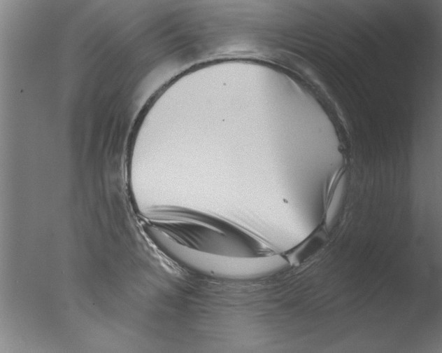 X0000076101328200610202125