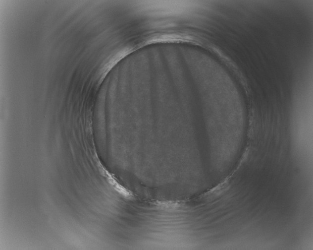 X0000076101329200610202125