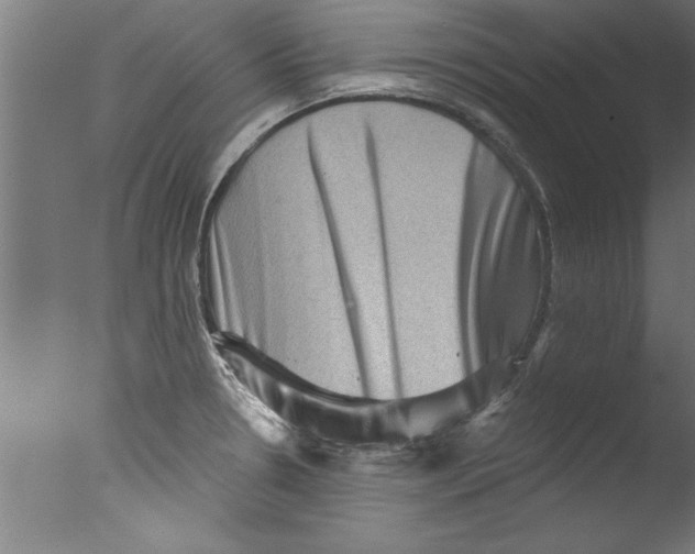 X0000076101330200610202125