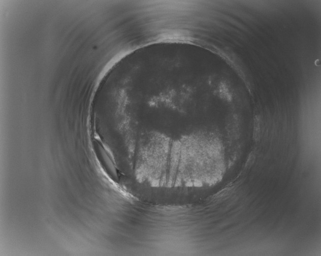 X0000076101331200610202125