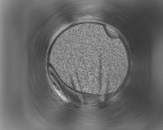 X0000076101333200610202126