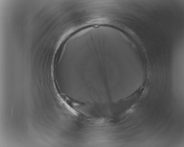 X0000076101334200610202126