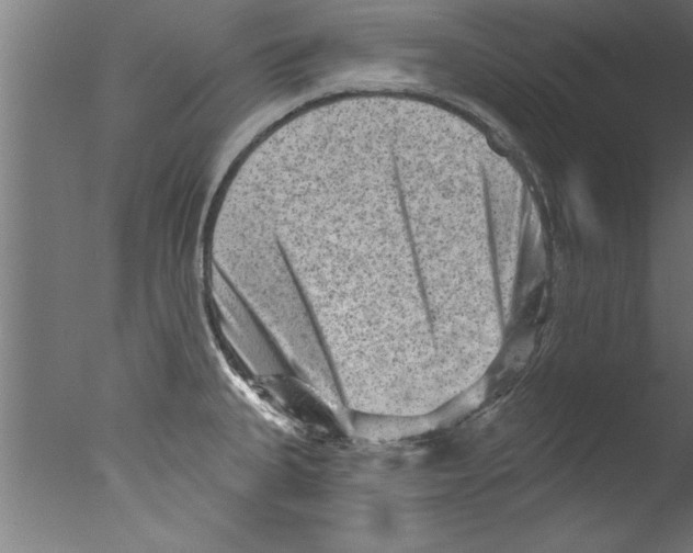 X0000076101335200610202126