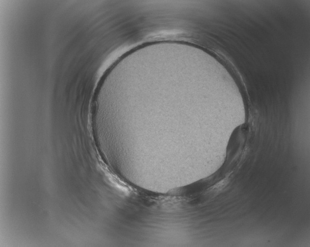 X0000076101336200610202126