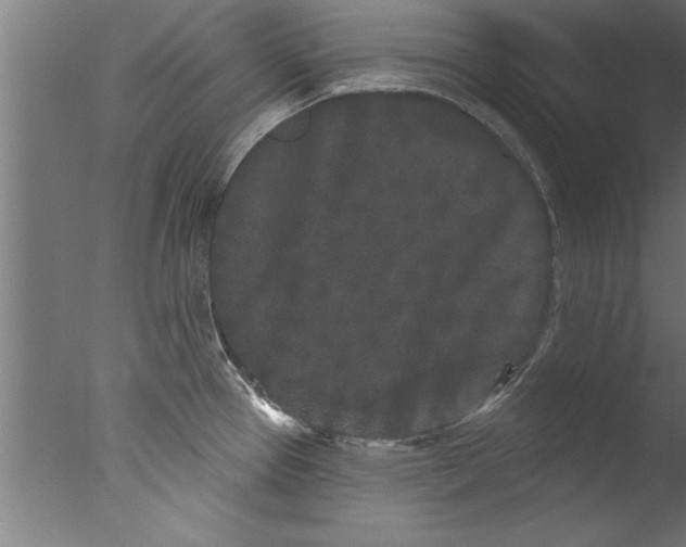 X0000076101337200610202126