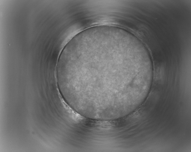 X0000076101338200610202126