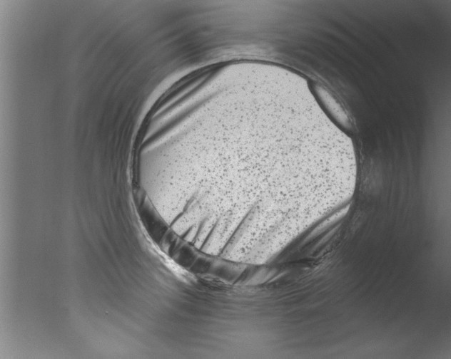 X0000076101339200610202126