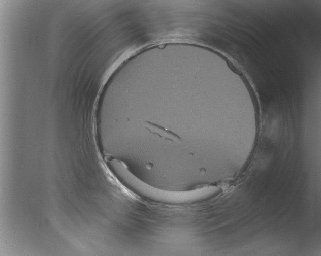 X0000076101341200610202126